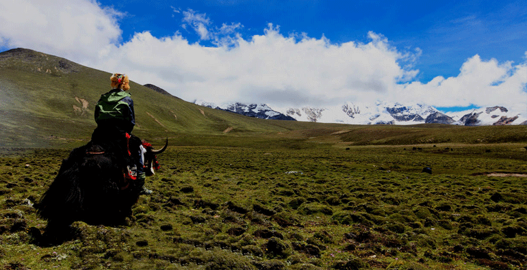 Gangtok tour image